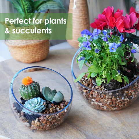 Craft And Party clear terrarium to highlight botanicals