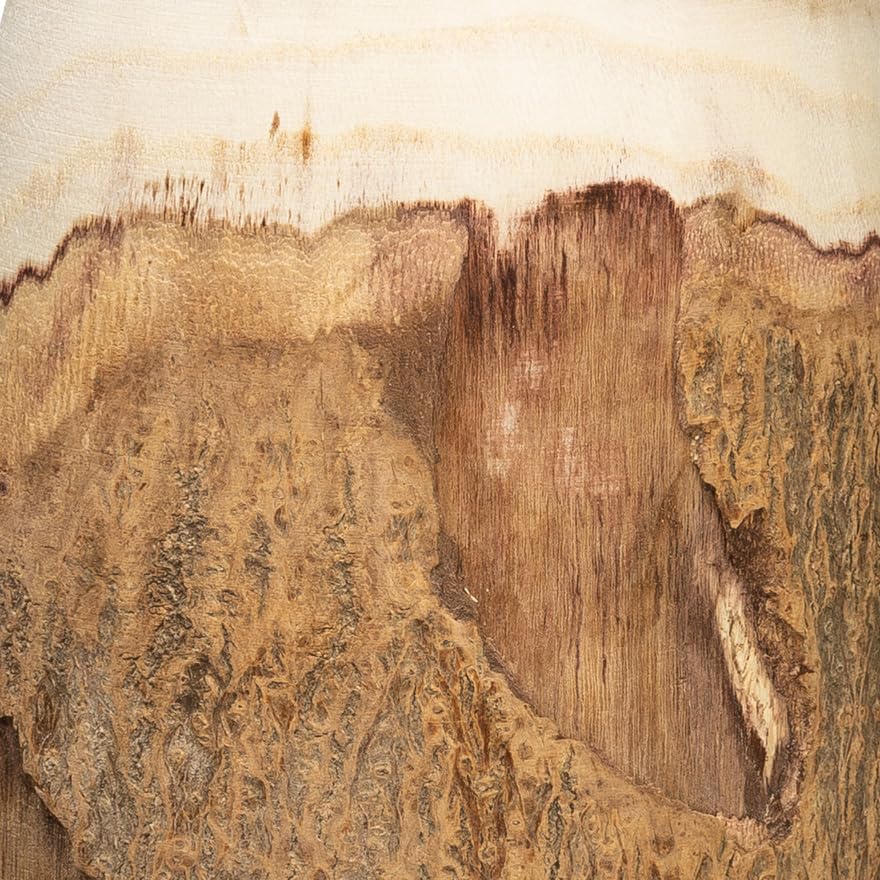 Creative Co-Op paulownia wood vase interior cavity shown for stems