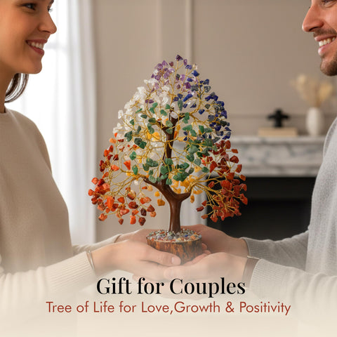 Crocon Original gift packaging ready-to-gift presentation