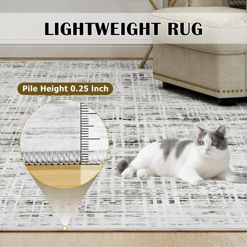 Crority family-friendly rug; safe for kids and pets to enjoy.
