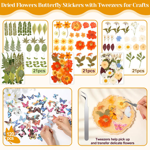 Cruzix pressed flowers on cardstock – preserved petals with durable storage.