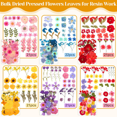 Cruzix tweezers for dried flowers – precision transfer tool for fine art projects.