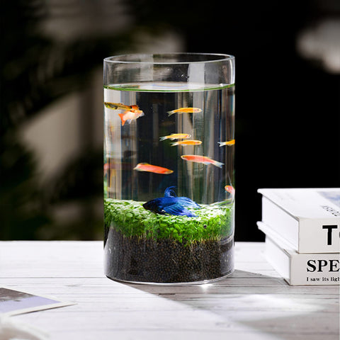CUCUMI dishwasher-safe glass vase, durable and easy to clean.
