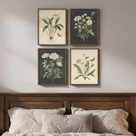 Cuspin framed vintage botanical wall art set of four for neutral living rooms