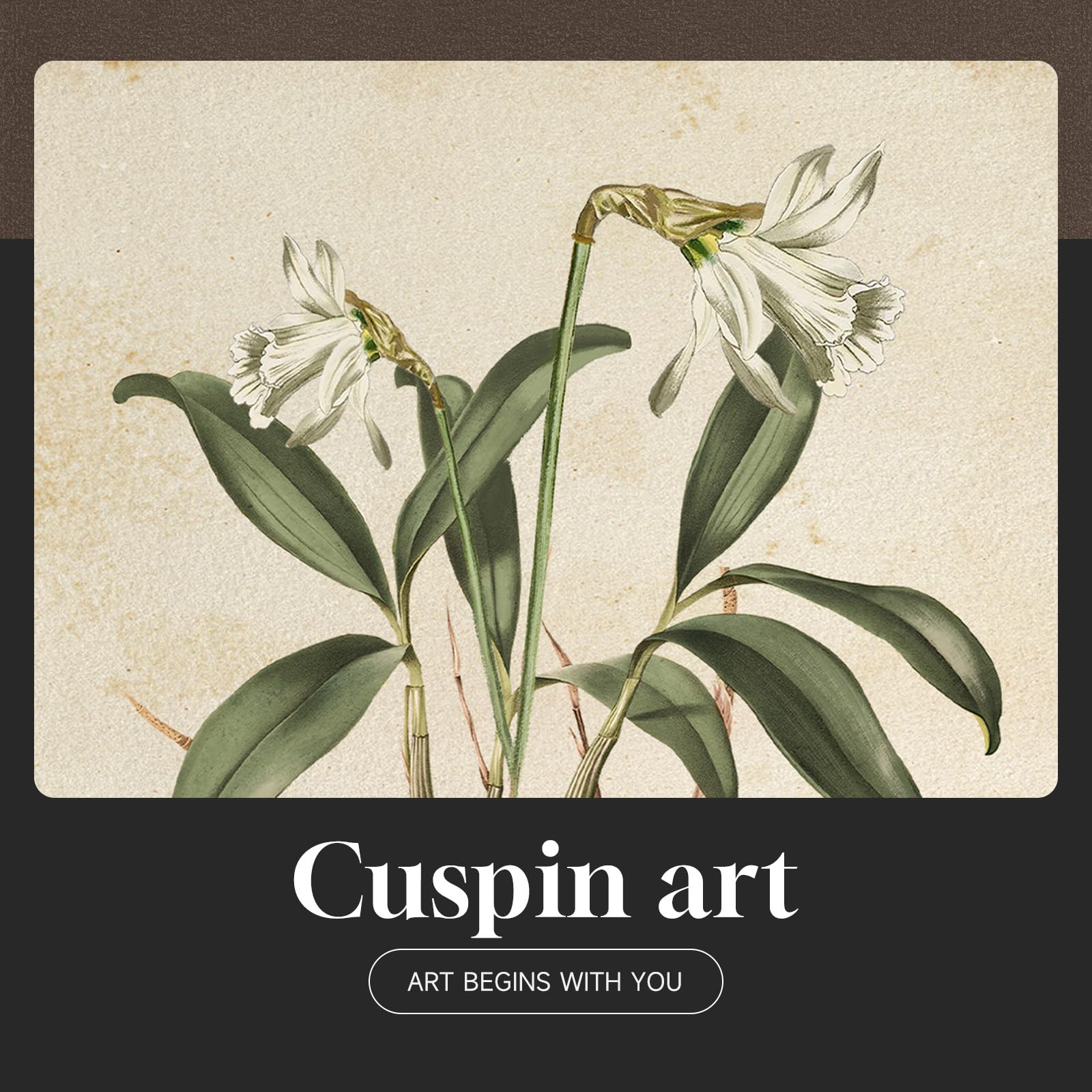 Cuspin living room wall decor with flower prints creates inviting focal points