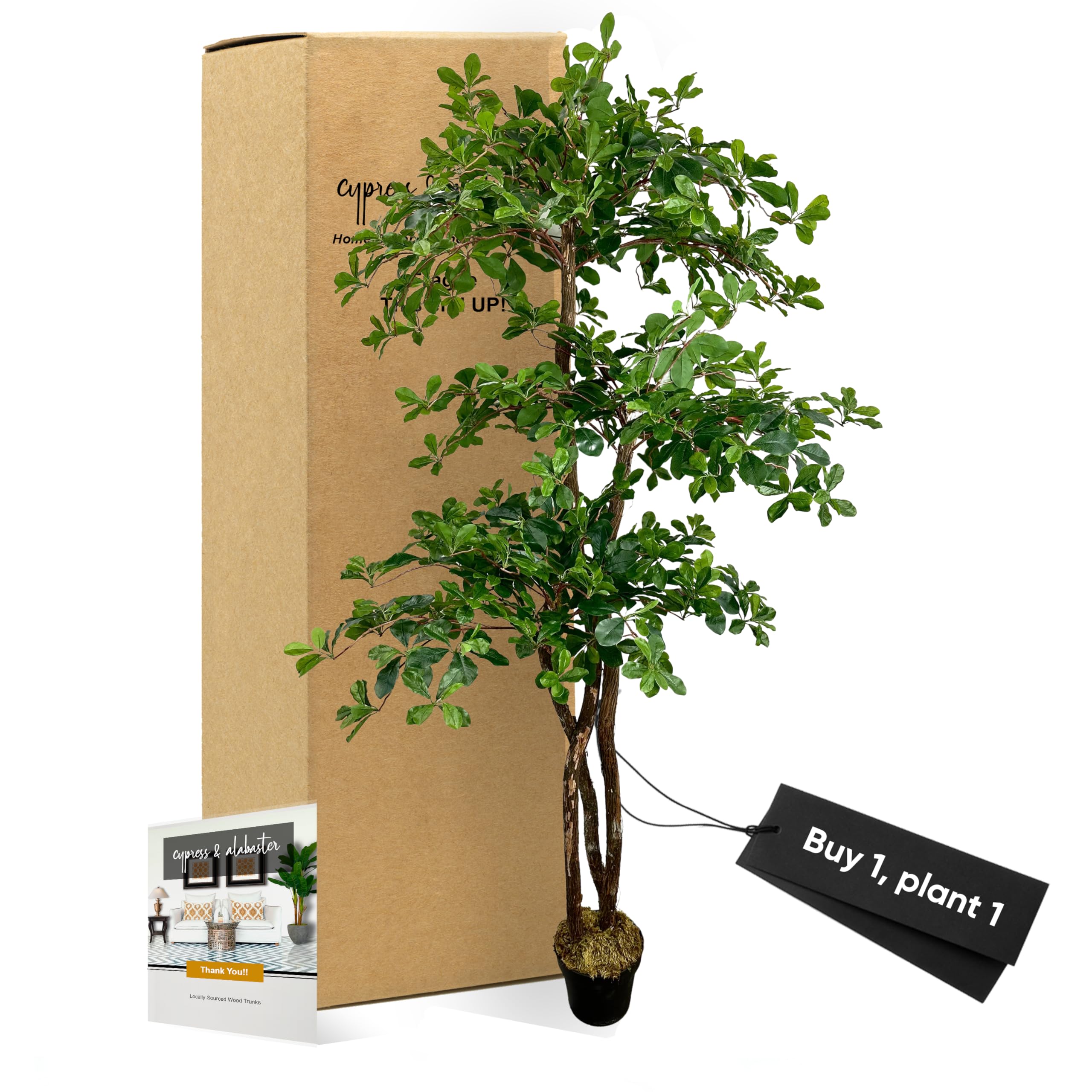 Cypress and Alabaster natural wood trunks detail for realistic appeal.
