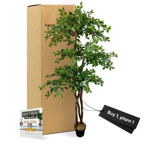 Cypress and Alabaster natural wood trunks detail for realistic appeal.