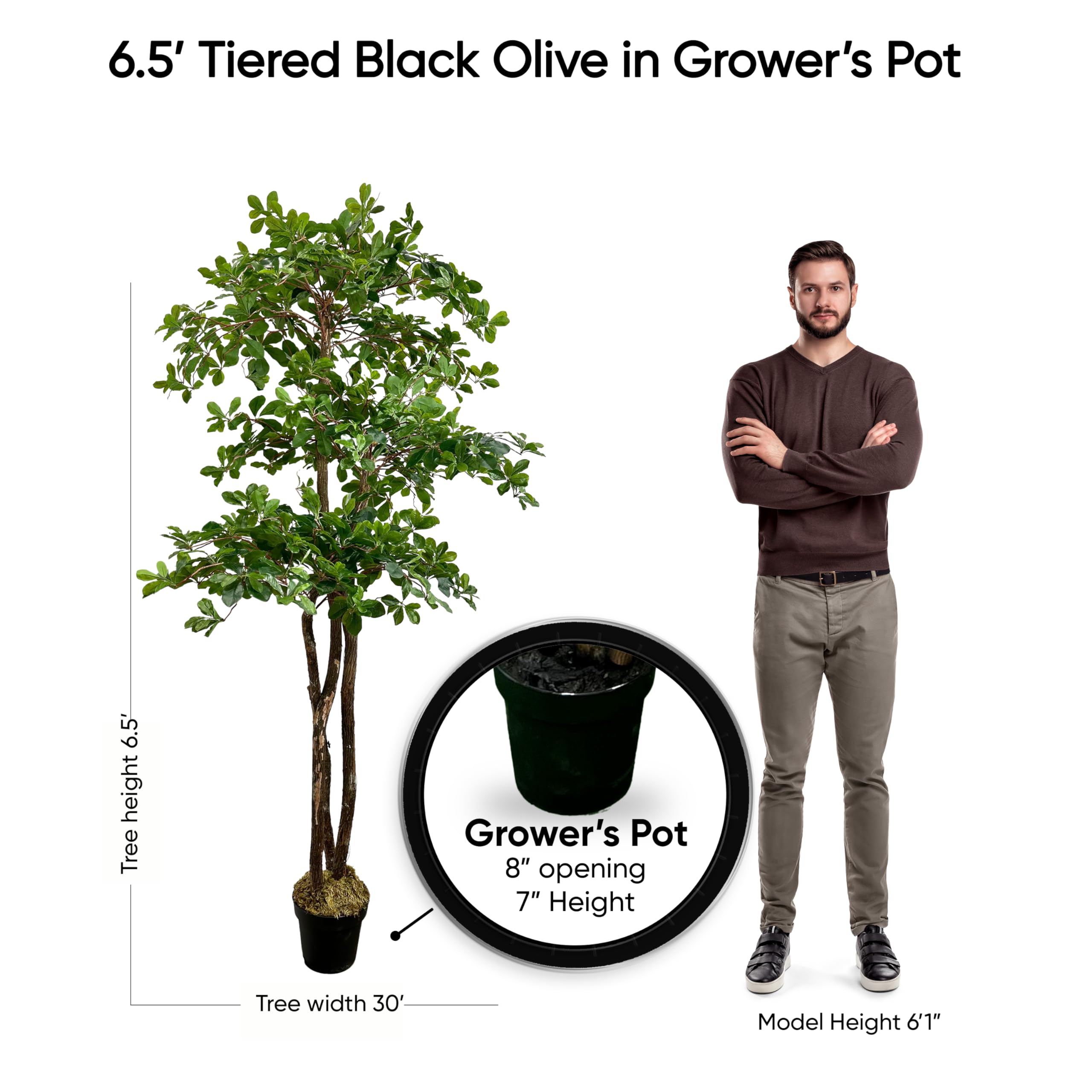 Cypress and Alabaster planter-ready artificial tree enhances decor with minimal effort.