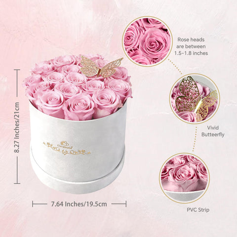 Cyrabota luxury suede round box close-up showing premium packaging