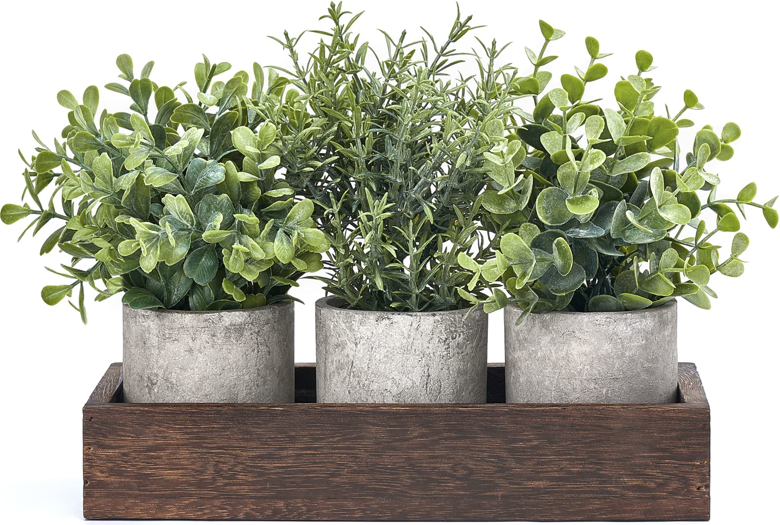 Dahey 3-pack mini potted eucalyptus with wood tray centerpiece for tables.