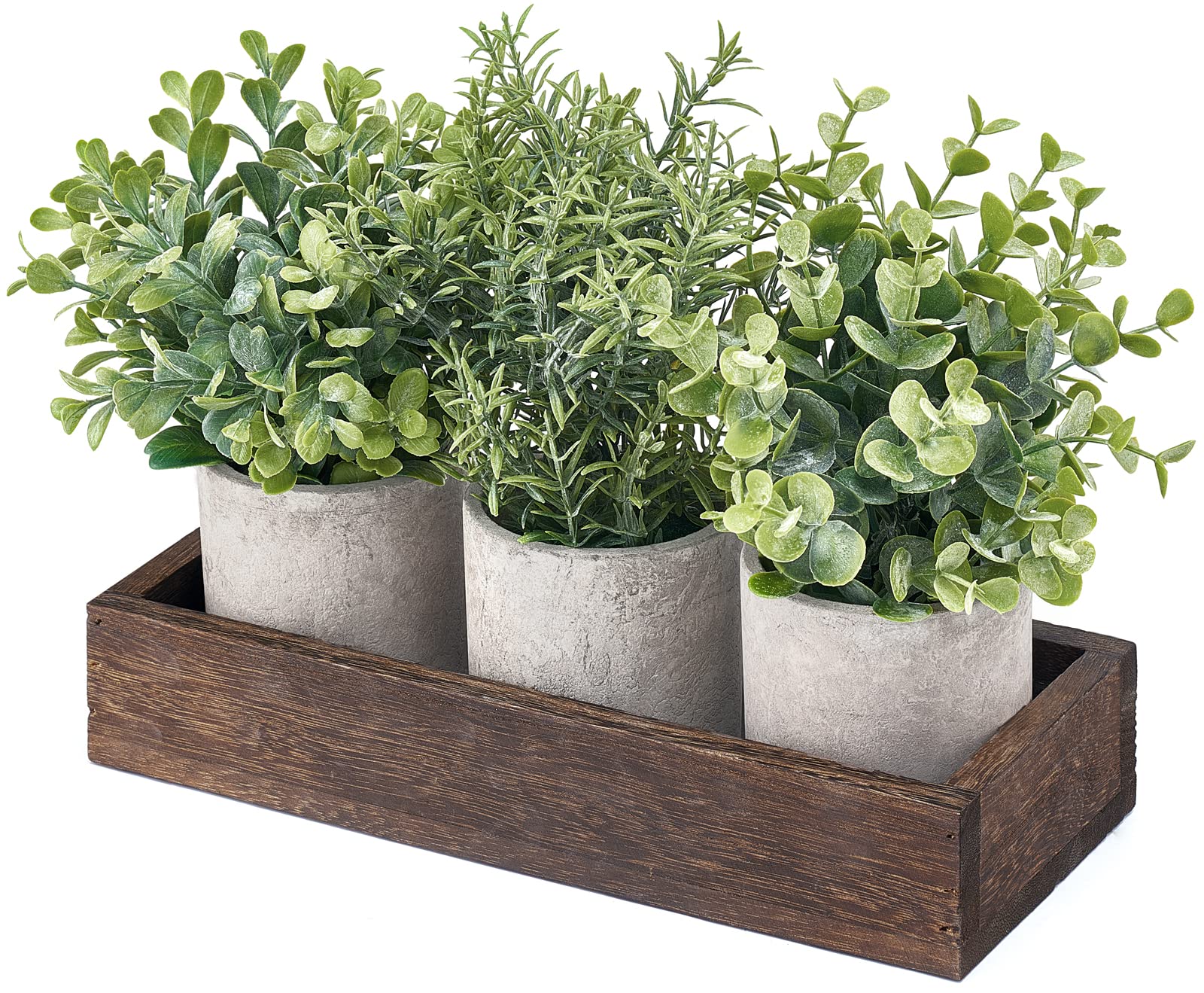 Dahey eucalyptus decor for kitchen, office, and living spaces.