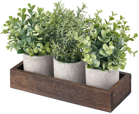 Dahey eucalyptus decor for kitchen, office, and living spaces.