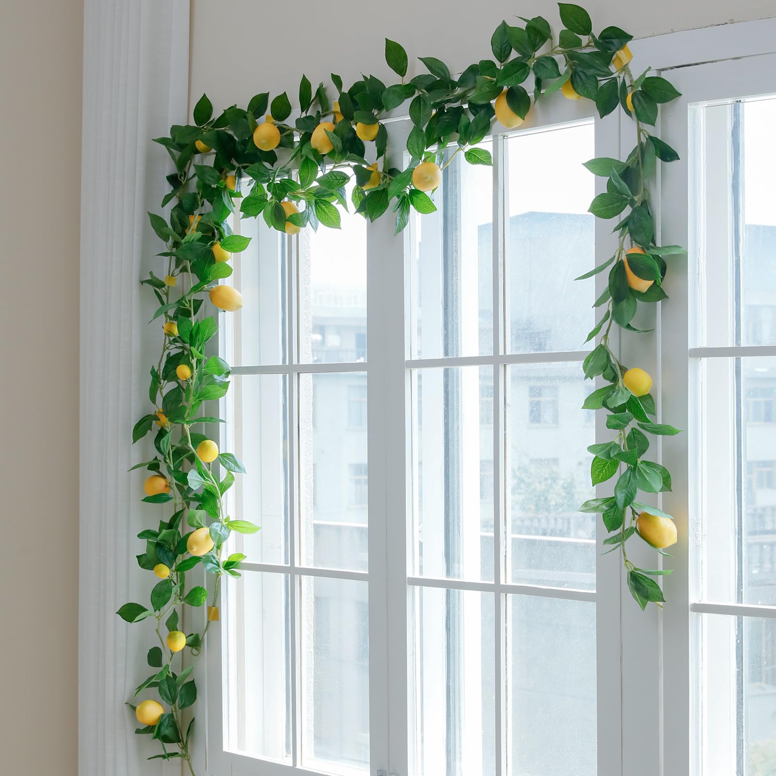 Dallisten greenery vines with leaves provide lush visual without watering.