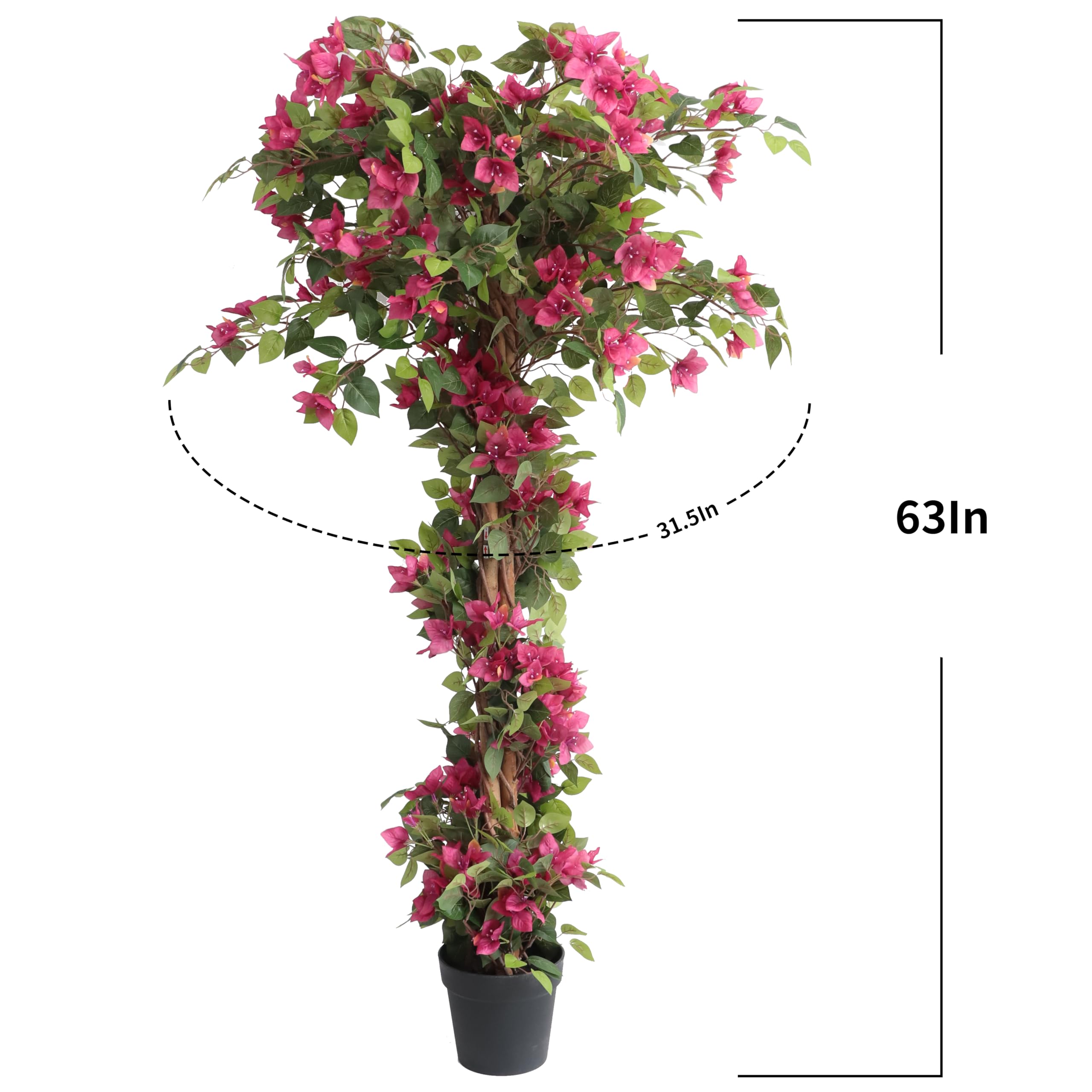 Damomo Bougainvillea Tree 63-inch close leaves showing lifelike texture
