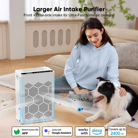 DAYETTE pet mode boosts purification for homes with pets