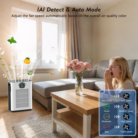 DAYETTE air purifier sensor display shows PM2.5 and TVOC in real time.