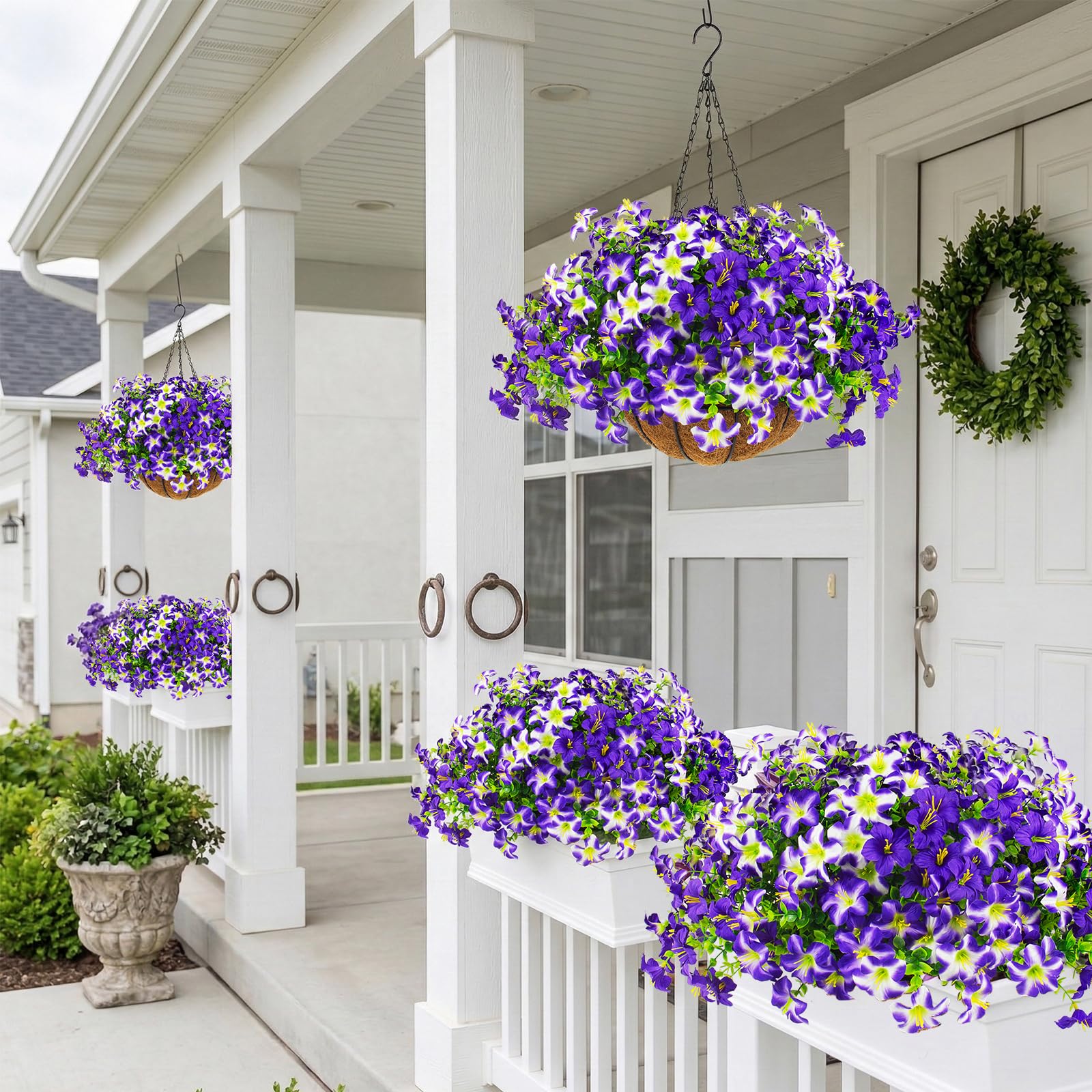 Daynight easy-maintenance flowers with no care required for busy homes.