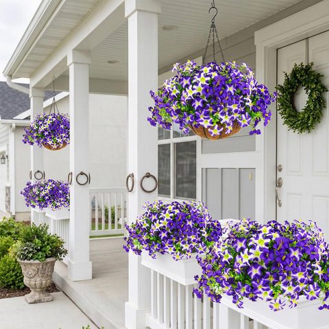 Daynight easy-maintenance flowers with no care required for busy homes.