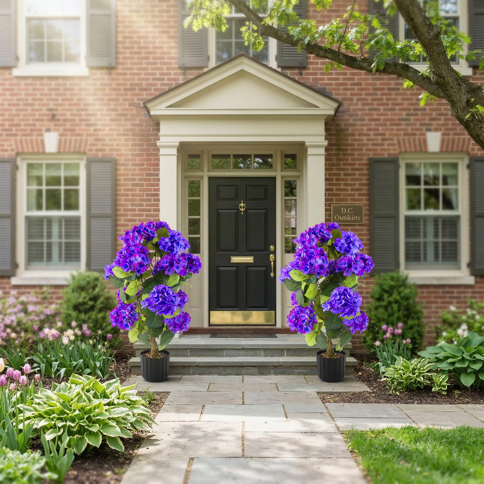 Daynight hydrangea office decor with blueviolet topiary in pot