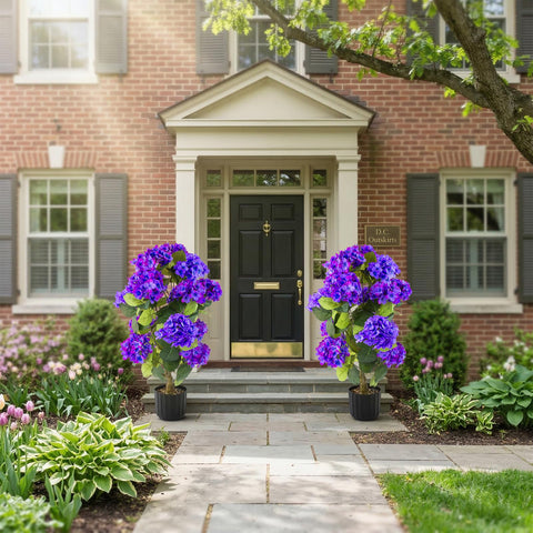 Daynight hydrangea office decor with blueviolet topiary in pot