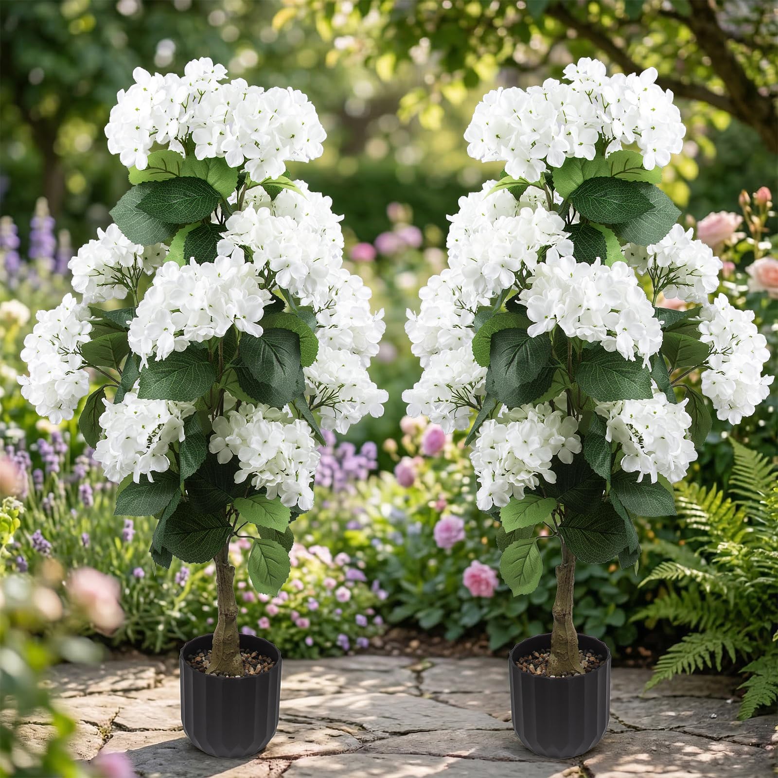 Daynight hydrangea tree in white pot ready for indoor outdoor setup