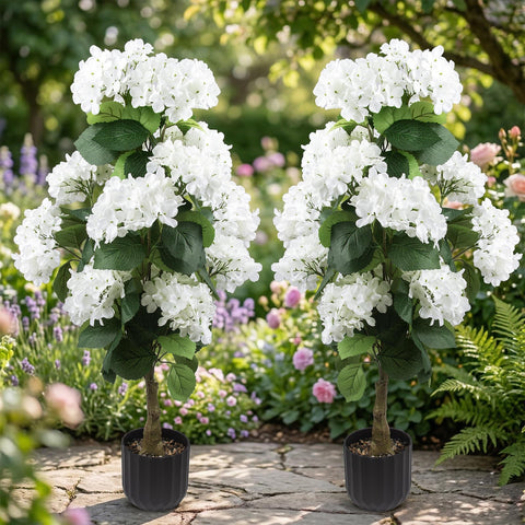 Daynight hydrangea tree in white pot ready for indoor outdoor setup