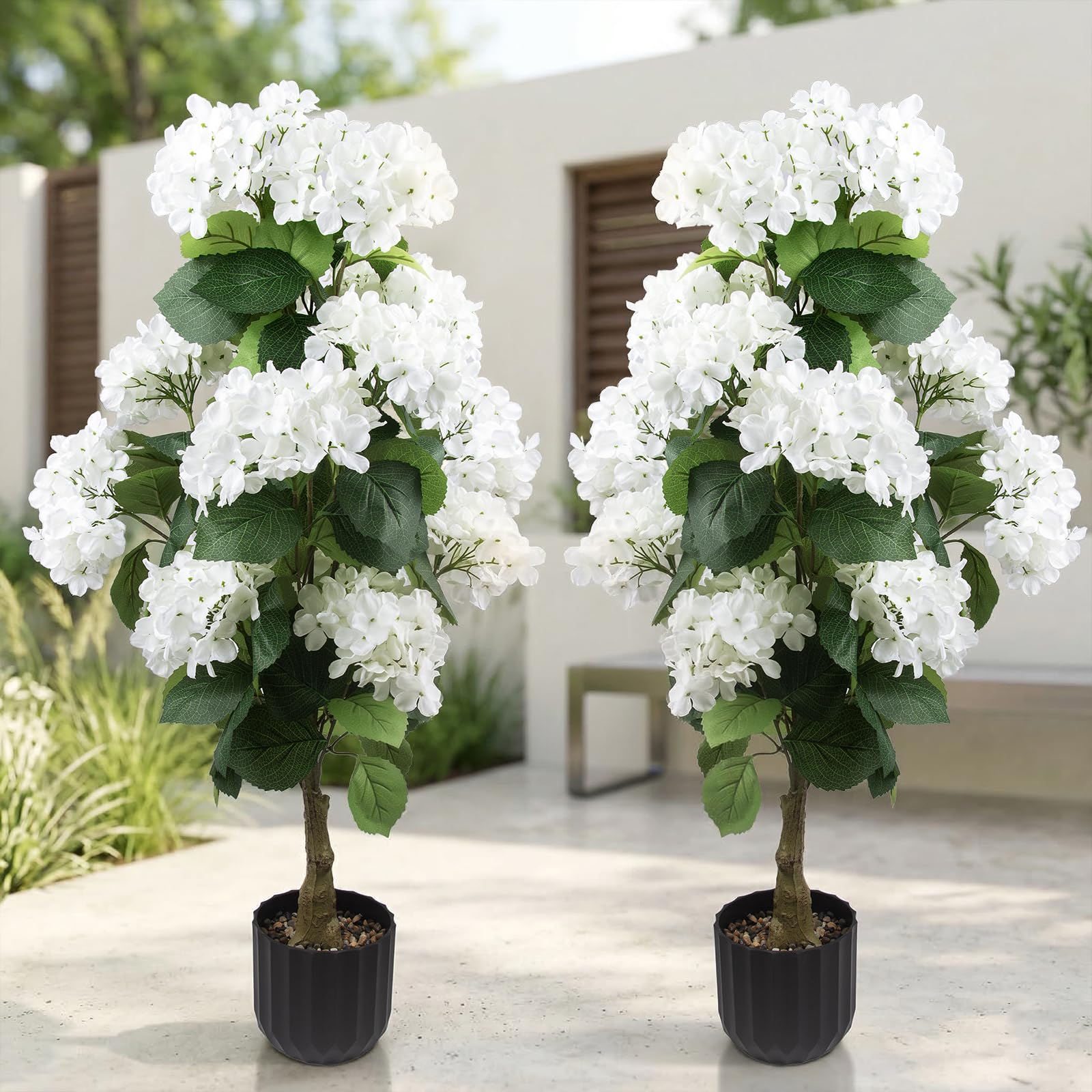 Daynight hydrangea tree close-up bloom for porch decoration