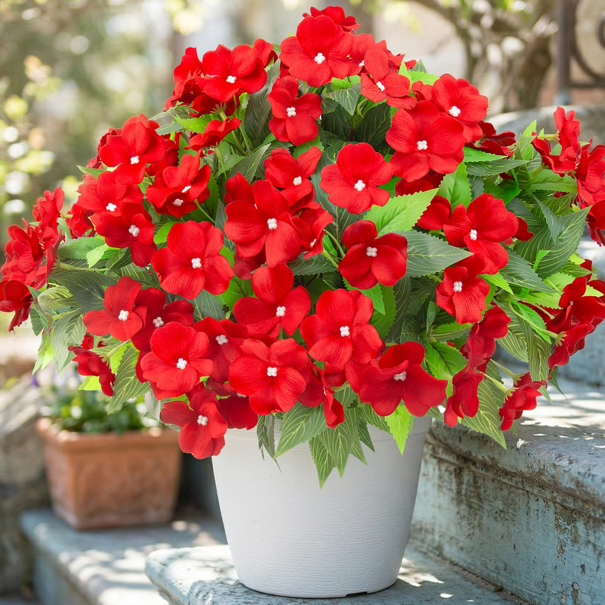 Daynight impatiens outdoor red bouquet for patio décor and low maintenance