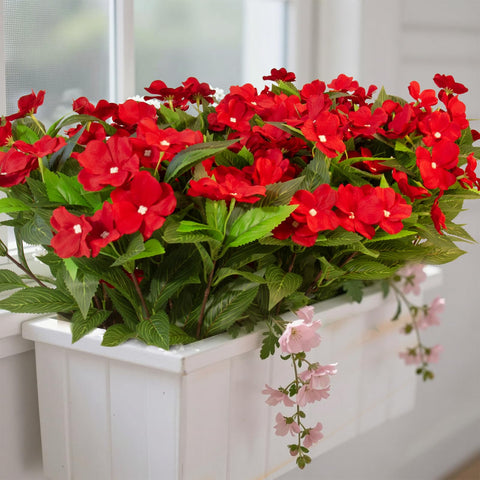 Daynight 8-branch impatiens offer lush greenery for planters and window boxes