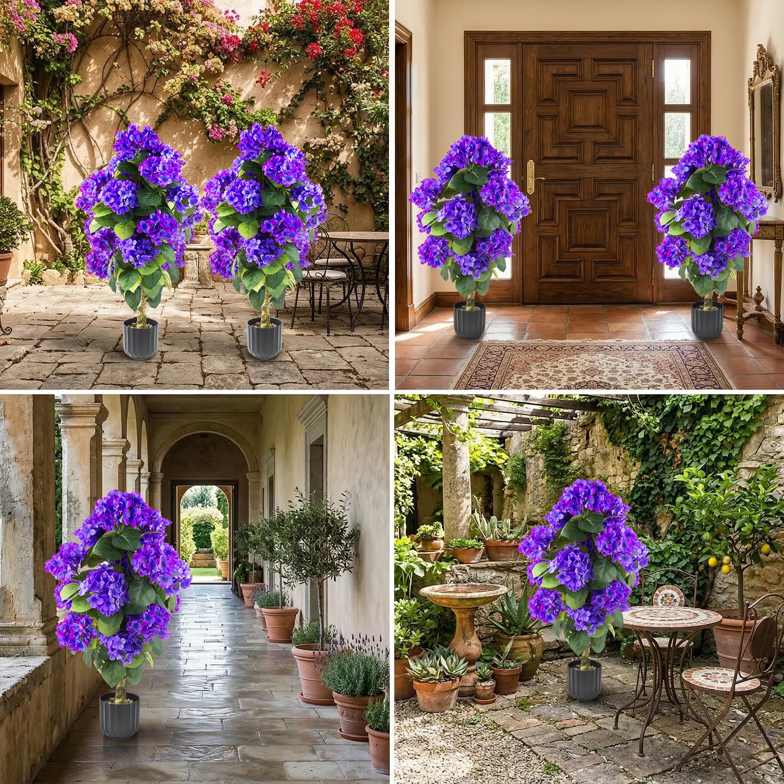 Versatile Daynight hydrangea for indoor and outdoor decoration in blueviolet