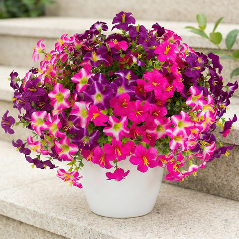Daynight petunias hanging planter decor showcases versatile placement.