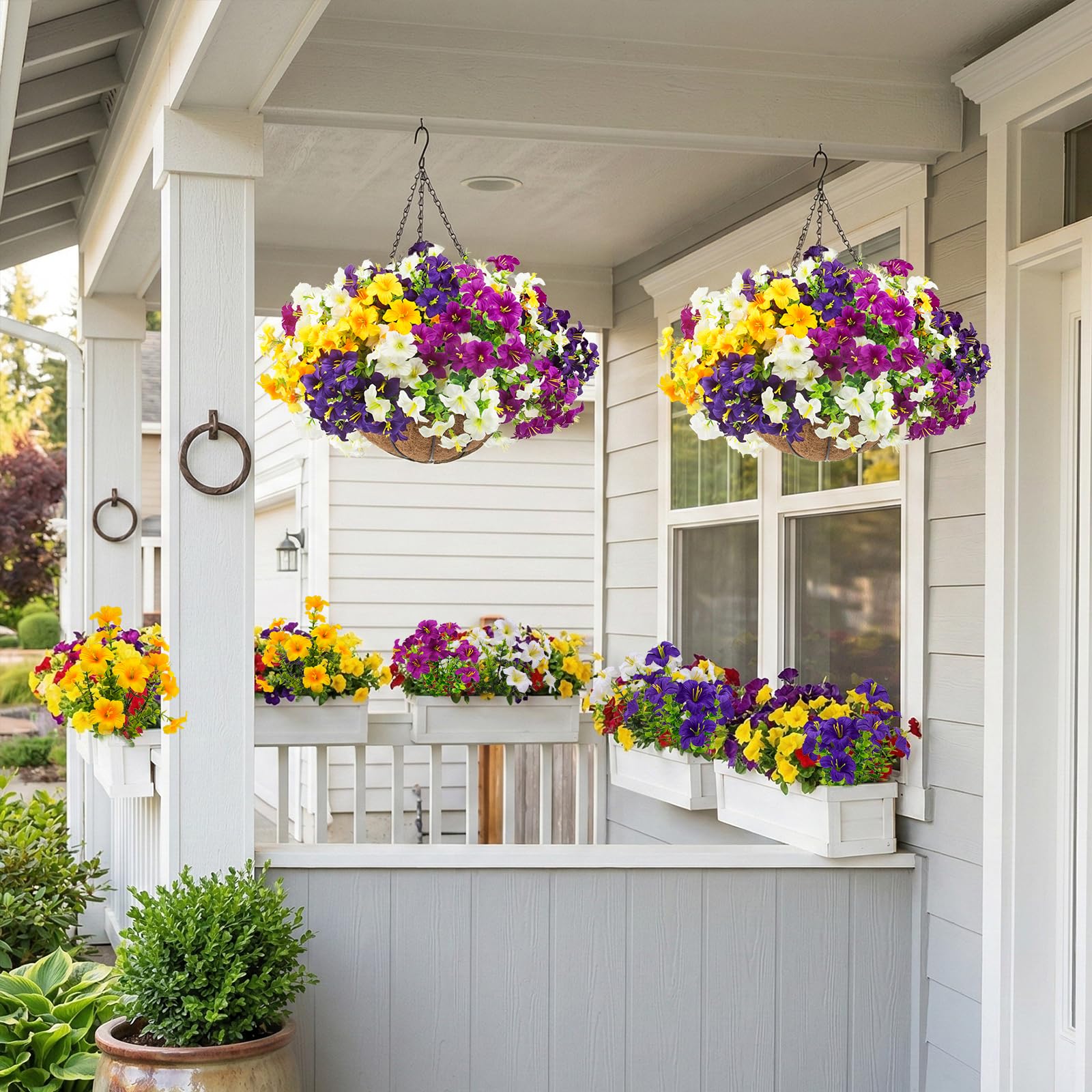 UV-resistant Daynight petunias maintain color in sun exposure