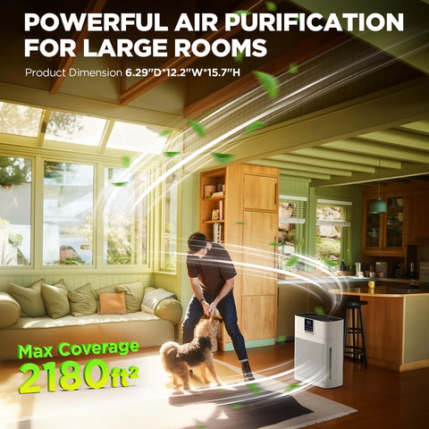 DBFIT AP2410 True HEPA and carbon filter for odors and particles