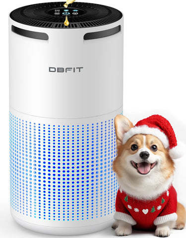 DBFIT W-01 air purifier front view for large rooms