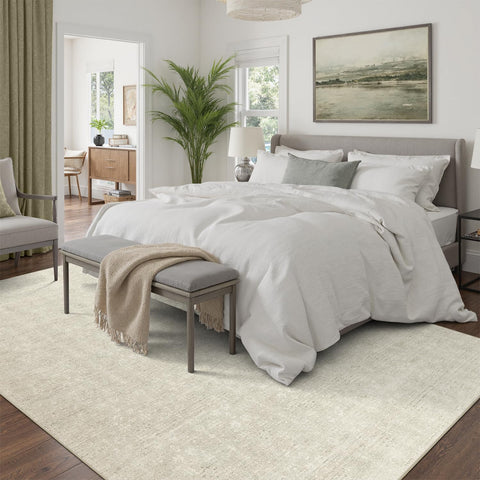 DCX 5x7 beige rug in a living room setup with neutral floral texture