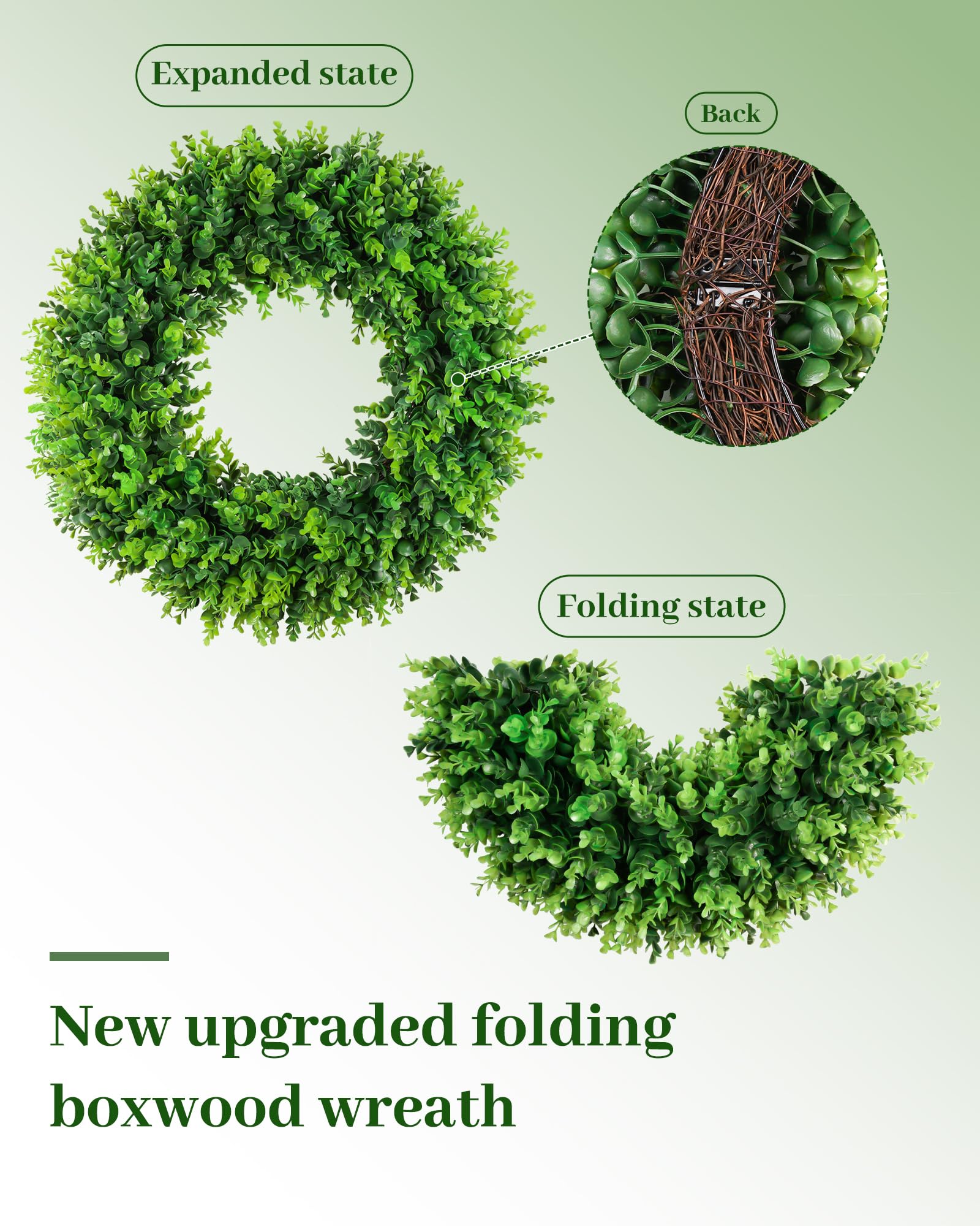 Close-up of DDHS boxwood leaves showing lifelike texture