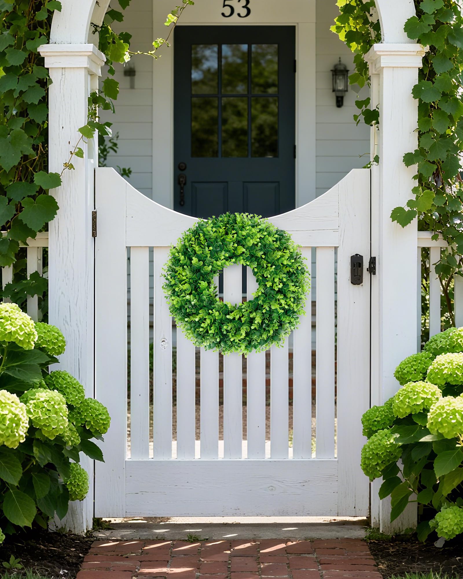 DDHS boxwood wreath versatile front-door or wall display.