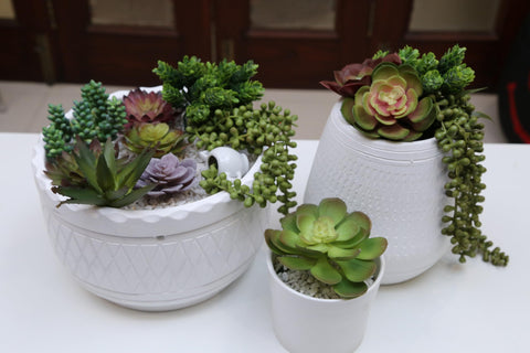 DECOROUS artificial succulents ideal for office desk decoration