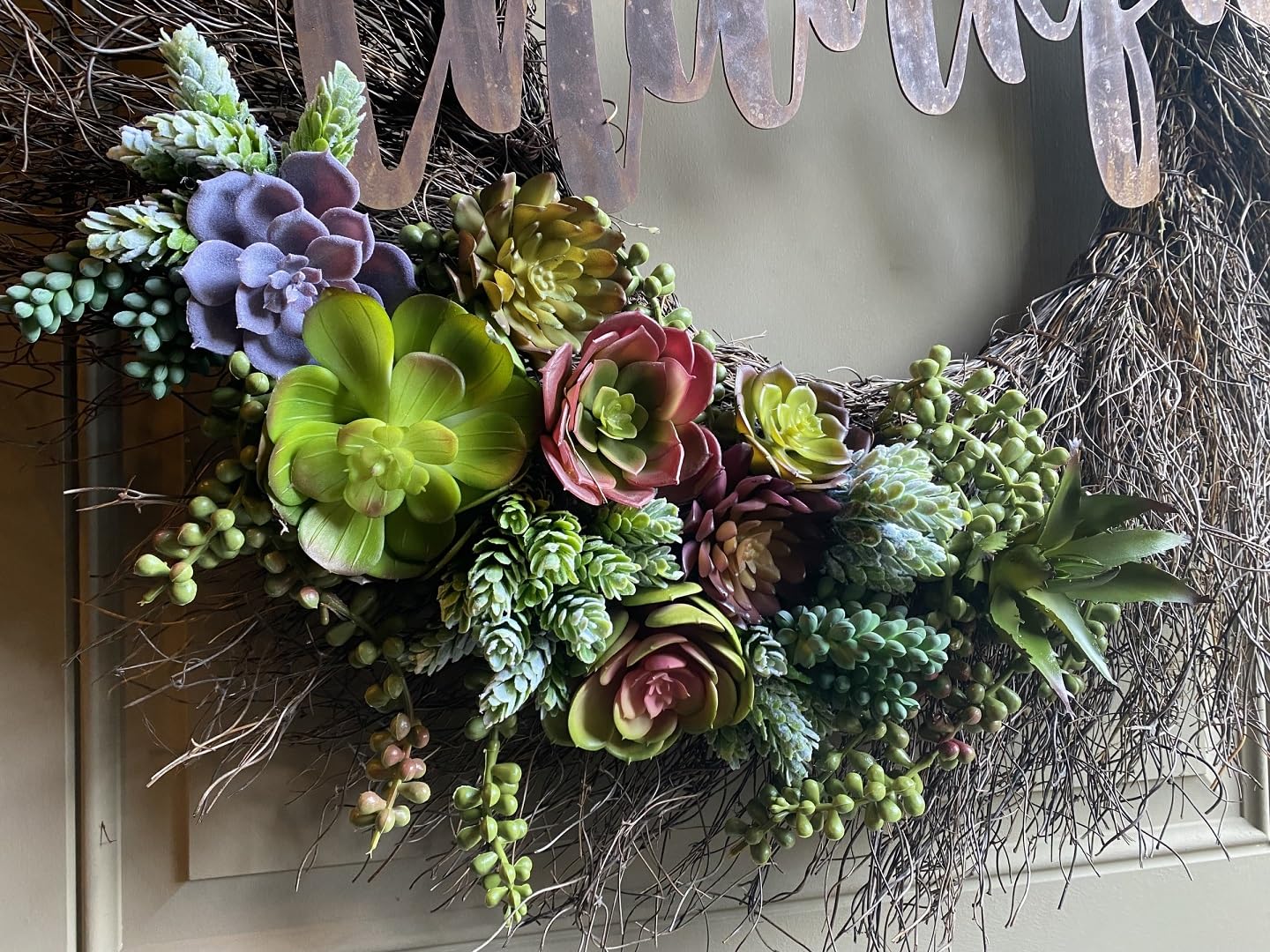 DECOROUS gift box presentation makes these succulents ready to gift