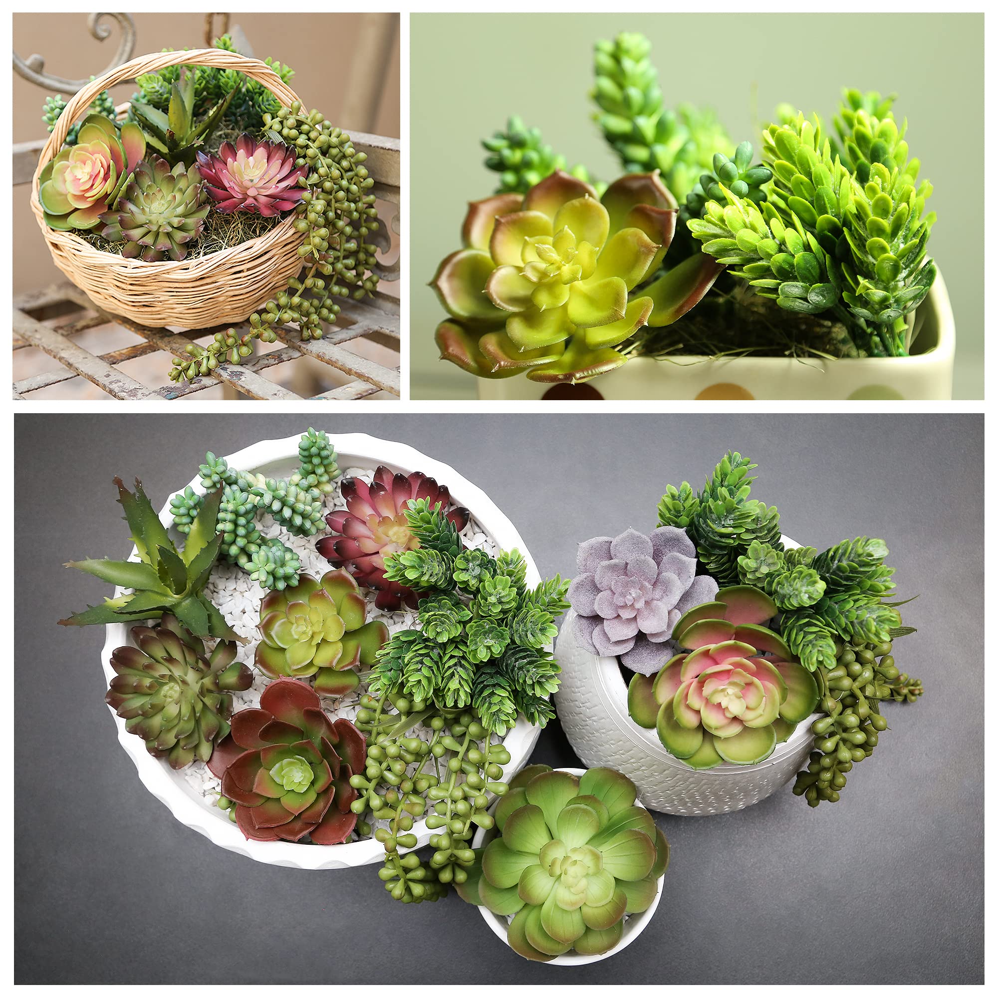 DECOROUS artificial succulents varied sizes arranged for natural-looking ensembles