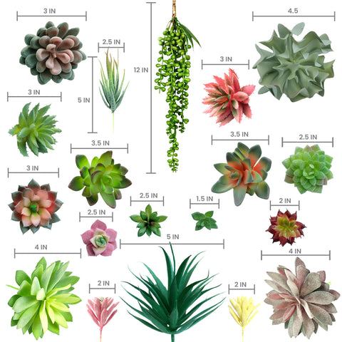 DECOROUS artificial succulents varied shapes and colors add versatile greenery.