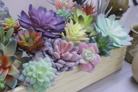 DECOROUS premium plastic succulents offer durable, reusable decor options.
