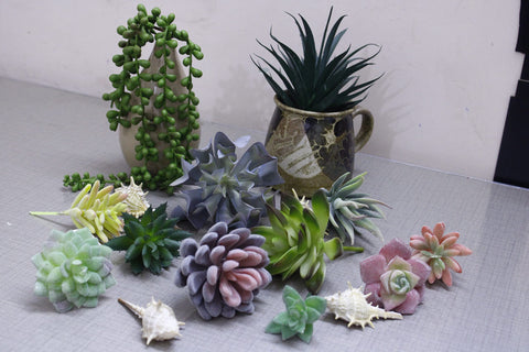 DECOROUS gift-ready packaging for an instant decorative gift.