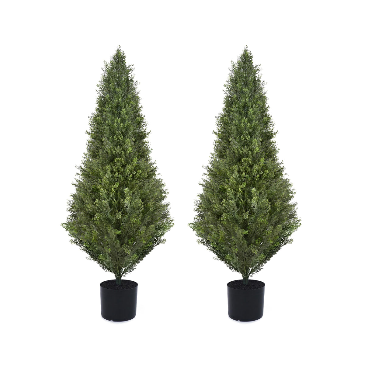 Decwin 4ft cedar topiary trees in black concrete pots, ideal for indoor display.