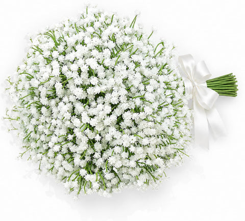 DEEMEI Babys Breath stem—21-piece bouquet suitable for wedding decor and home styling.