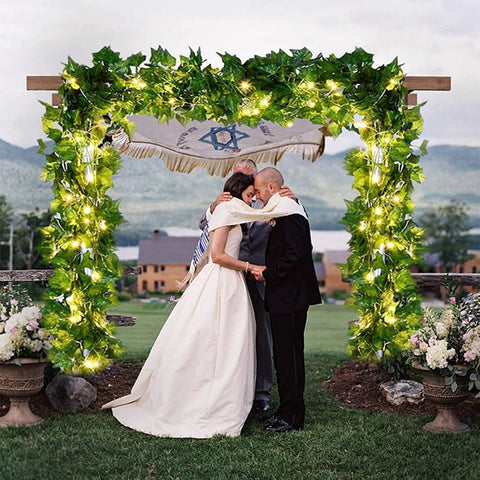 DEKEones 12-strands vine with USB lights enhances party spaces.