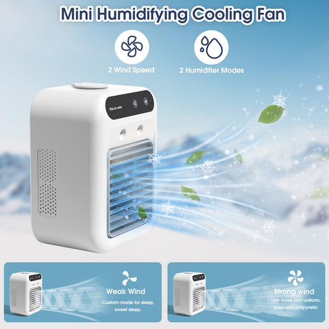 Deller air cooler with two speeds and adjustable airflow.