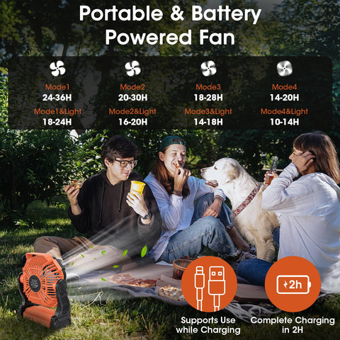 Deller fan operates quietly with four speeds for tent comfort.