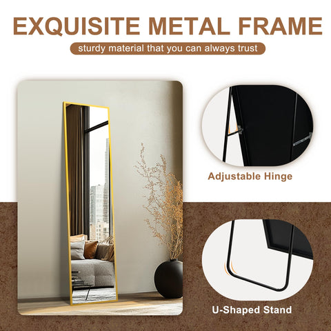Delma HD reflection close-up shows crisp, natural details.