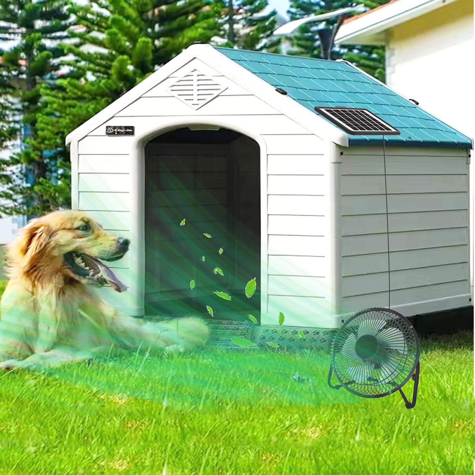 DELUMEE tempered-glass panel protection for durable solar operation.